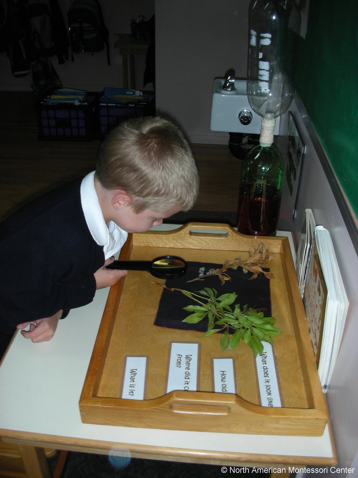 Principles of Montessori